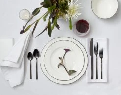 Paderno Bonavista Mid-Rim Dinner Plate Set, 6 Piece Best Sellers 6 Paderno Bonavista Mid-Rim Dinner Plate Set, 6 Piece Best Sellers