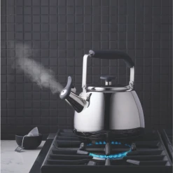 Paderno Polished Stainless Steel Stovetop Kettle | Bouilloire Sur La Cuisinière En Acier Inoxydable Poli Cookware