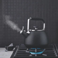Paderno Stormy Black Stainless Steel Stovetop Kettle | Bouilloire Sur La Cuisinière En Acier Inoxydable Noir Tempête