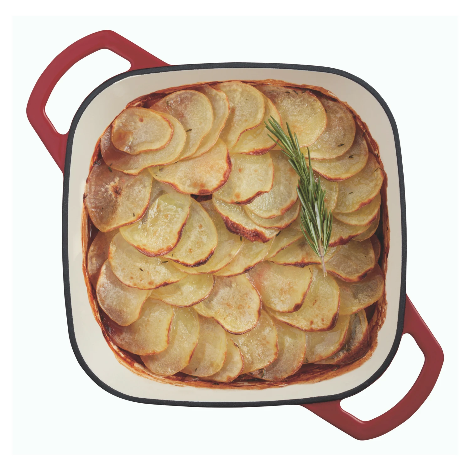 Paderno_Cast_Iron_Casserole_Red_1423478_P6_0fedee46-46a7-4d77-a02d-74d5276eb63c.png Paderno Cookware Dutch Oven 6.5 Quarts, Red | Cocotte En Fonte 6.5 Pintes, Rouge